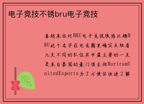 电子竞技不锈bru电子竞技